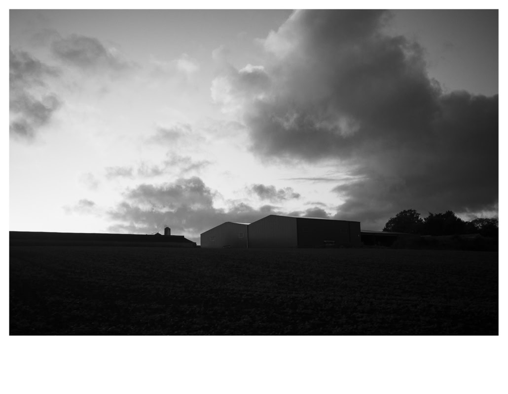 black and white, bretagne, brittany, bw, champ, entrepôt, field, monochrom, monochrome, noir et blanc, silo, warehouse