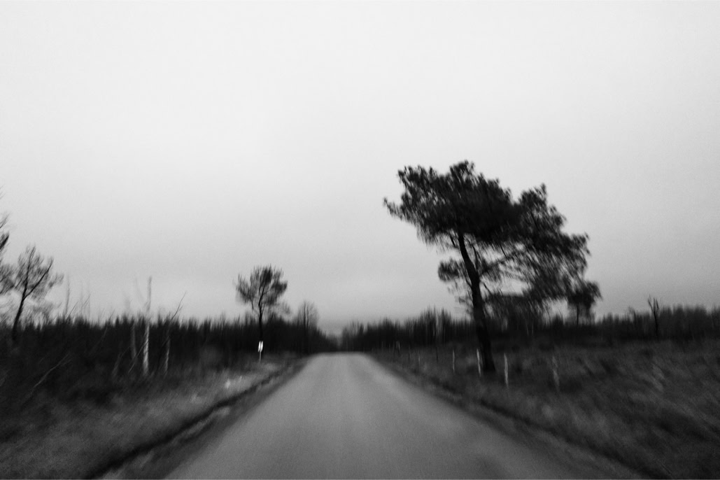 arbre, black and white, bretagne, brittany, bw, diaoul, lande, monochrom, monochrome, moor, noir et blanc, road, route, tree