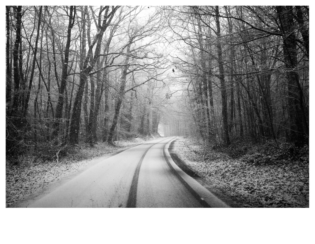 black and white, bretagne, brittany, bw, forest, forêt, monochrom, monochrome, neige, noir et blanc, road, route, snow