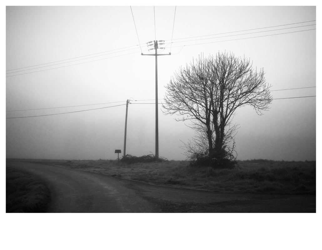 arbre, black and white, bretagne, brittany, bw, fil électrique, monochrom, monochrome, noir et blanc, pole, poteau, road, route, tree, wire