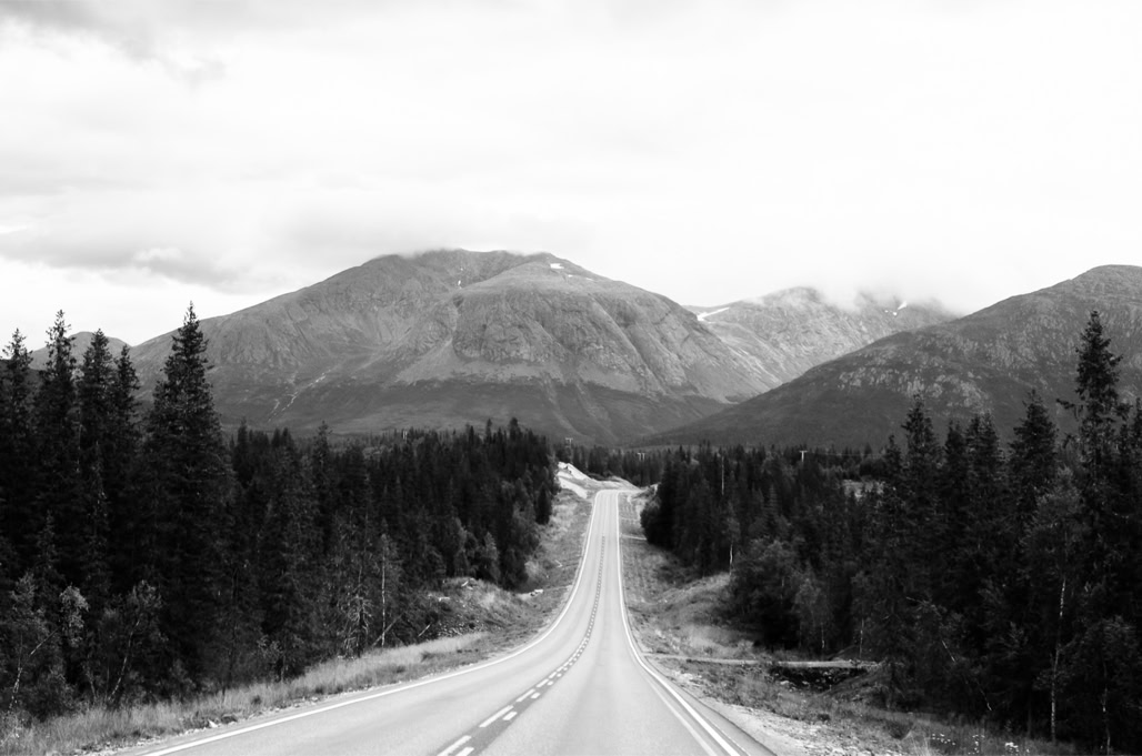 black and white, bw, forest, forêt, monochrom, monochrome, montagne, mountain, noir et blanc, norvège, norway, road, route