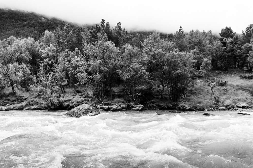 black and white, bw, forest, forêt, monochrom, monochrome, montagne, mountain, noir et blanc, norvège, norway, river, rivière, rocher, rock